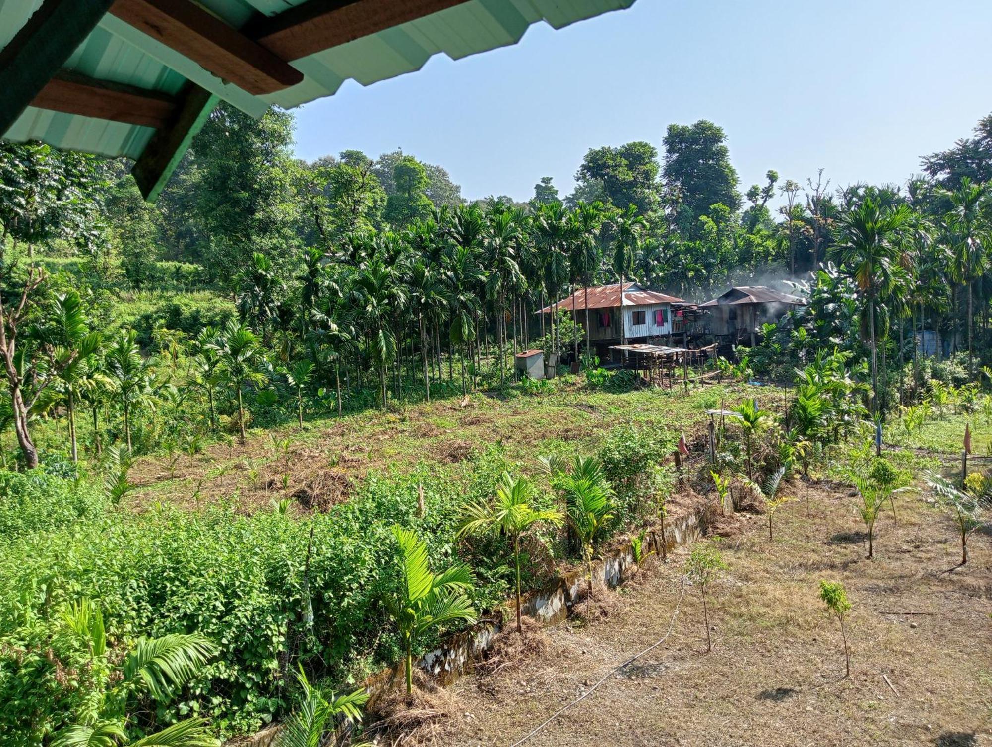 Dooars Velley Home Stay Buxa Duar Dış mekan fotoğraf